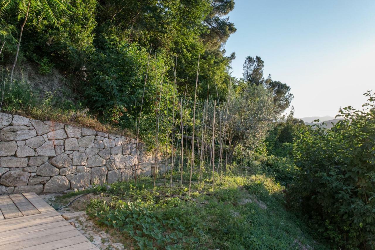 Villa Fortezza Antique Rooms Ascoli Piceno Exterior photo